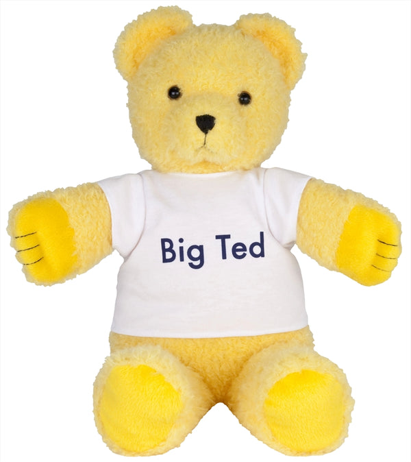 Play School Soft Toy - Big Ted Plushie