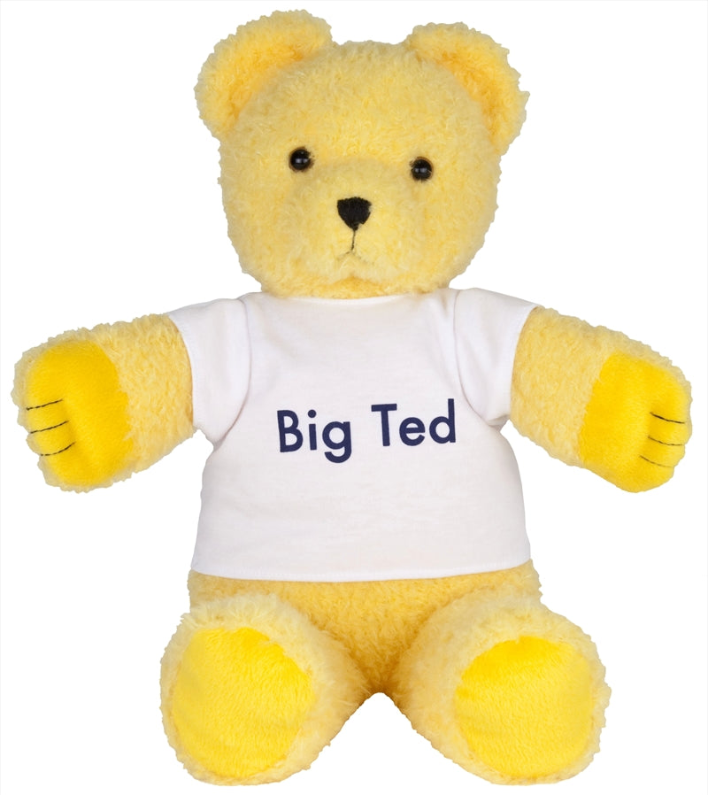 Play School Soft Toy - Big Ted Plushie